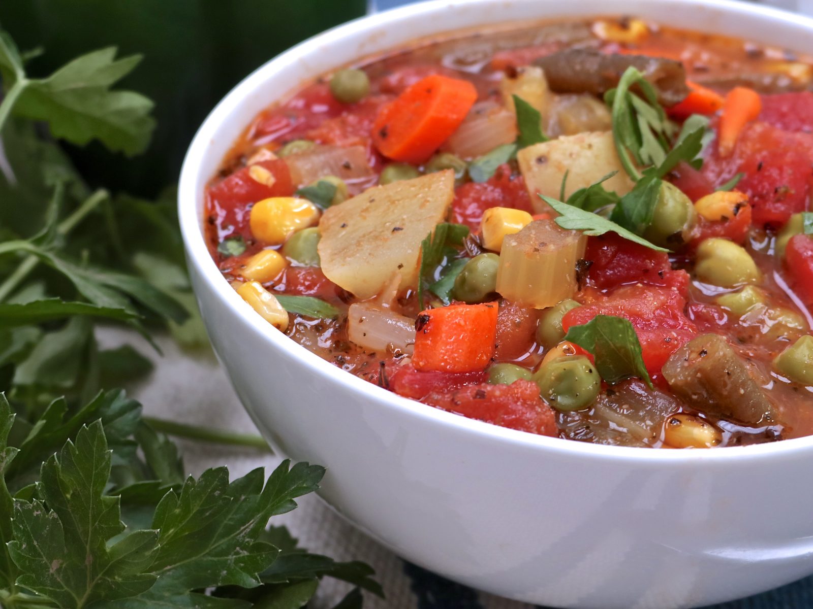 Vegetable soup recipes1